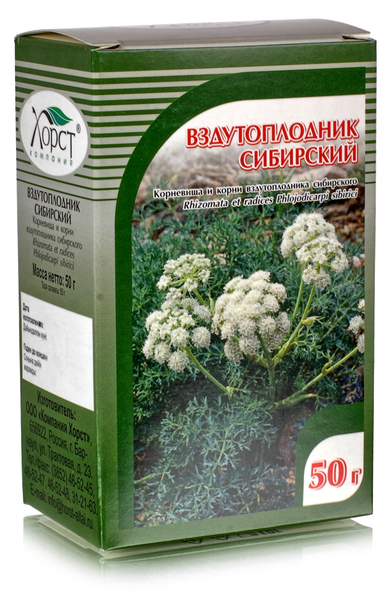 Вздутоплодник сибирский, корень 50гр. купить в Москве в одном из наших  магазинов или с бесплатной доставкой по Москве в интернет-магазине по  низкой цене. Рецепты, применение, отзывы.