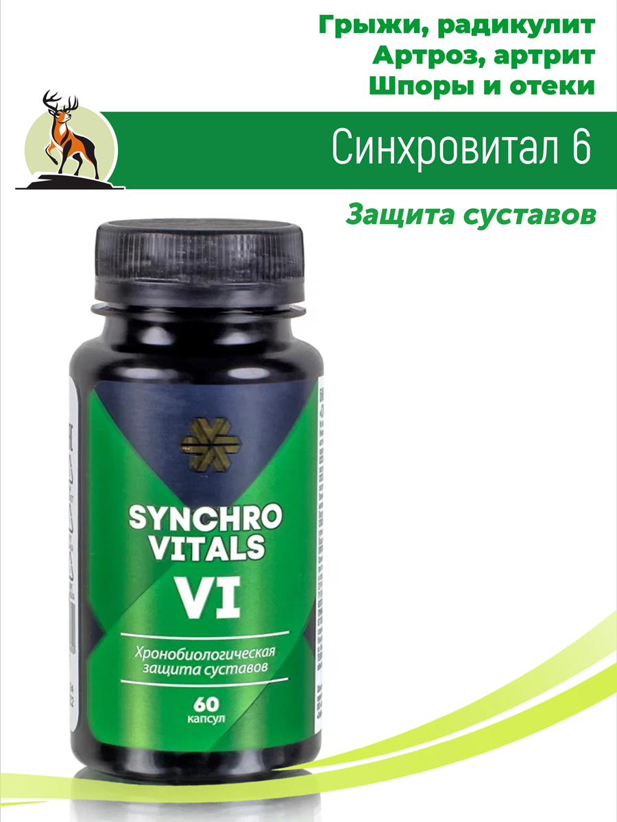 Синхровитал 6 Защита суставов / хондроитин / глюкозамин / от боли в  суставах купить в Москве в одном из наших магазинов или с бесплатной  доставкой по Москве в интернет-магазине по низкой цене.