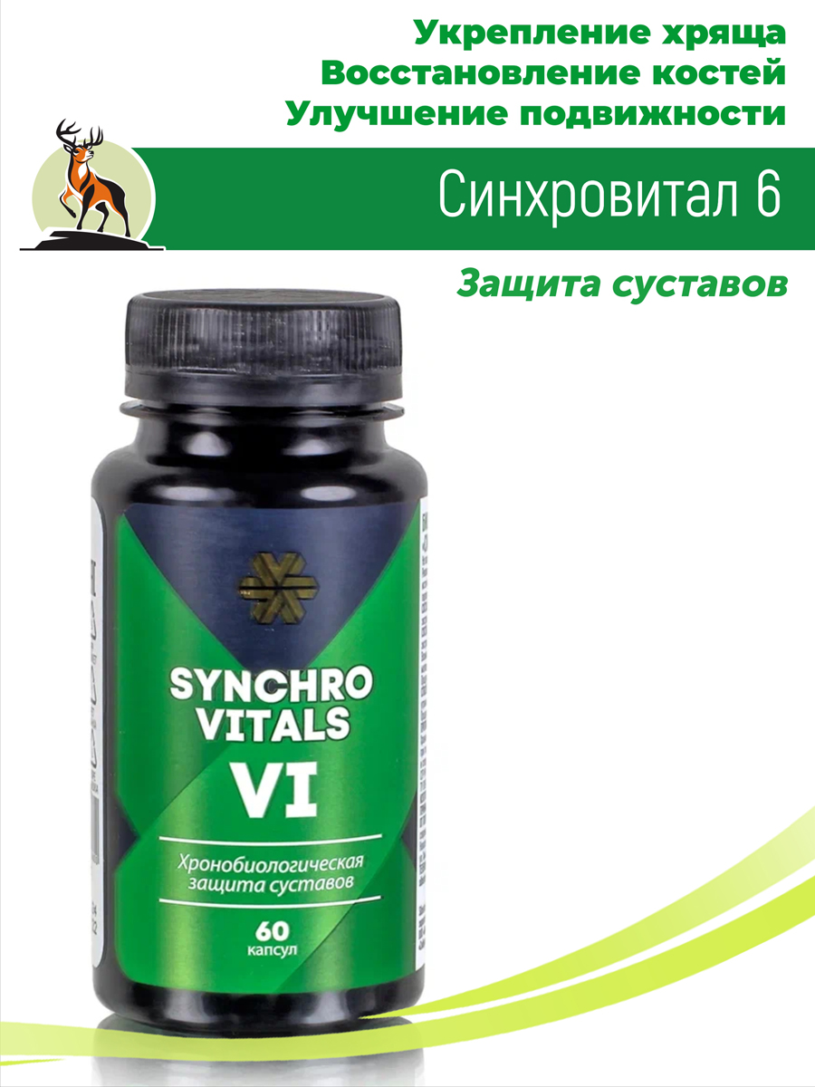 Синхровитал 6 Защита суставов / хондроитин / глюкозамин / от боли в  суставах купить в Москве в одном из наших магазинов или с бесплатной  доставкой по Москве в интернет-магазине по низкой цене.