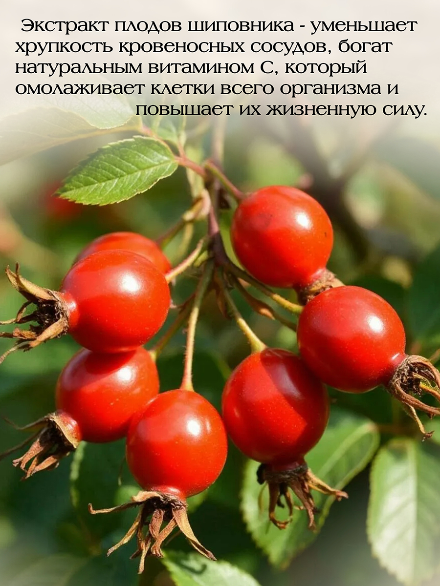 Кардиострон ( 56 капсул )  для сердечно-сосудистой системы