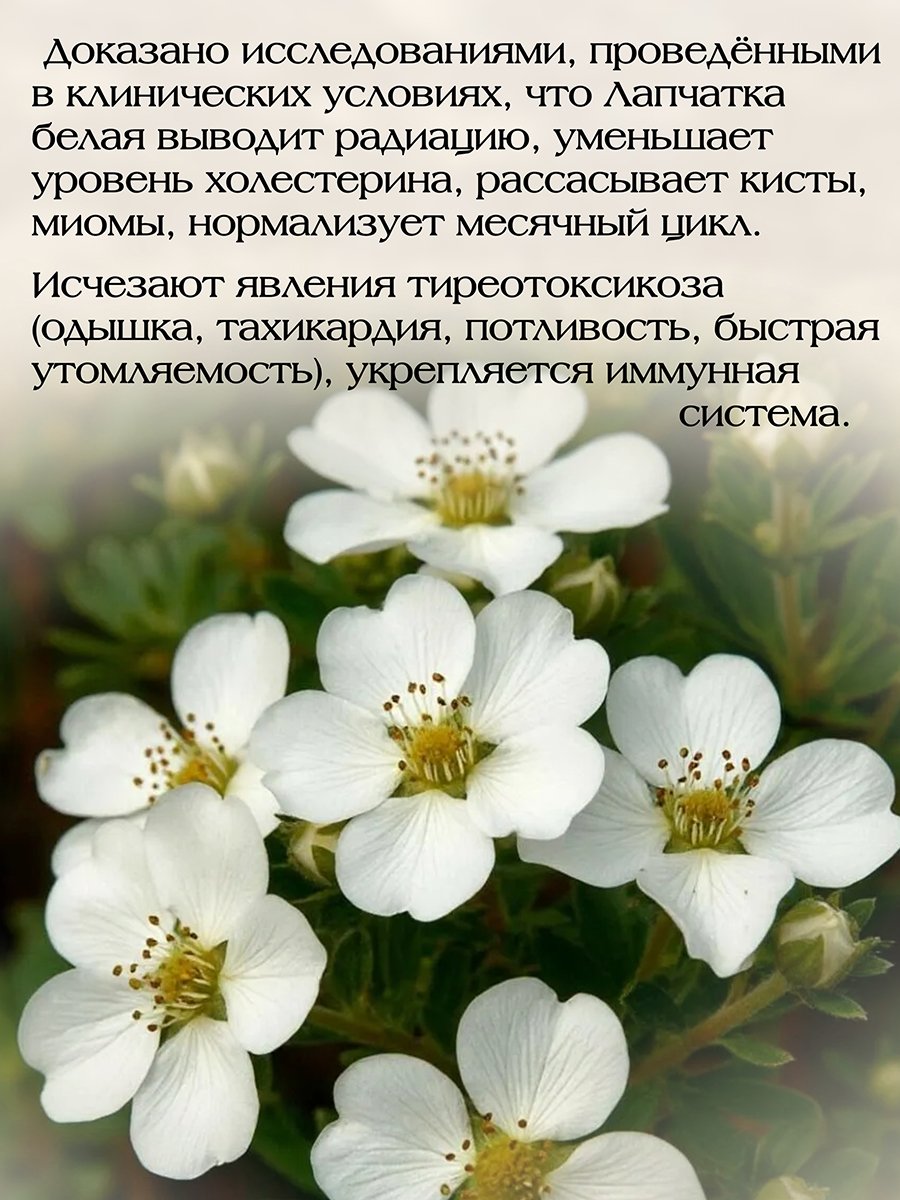Тиреострон ( 56 капсул ) улучшает обмен веществ и работу всей эндокринной системы