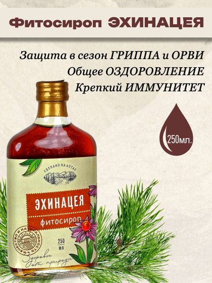 Сироп Эхинацея, 250мл / сироп для иммунитета / сироп для детей