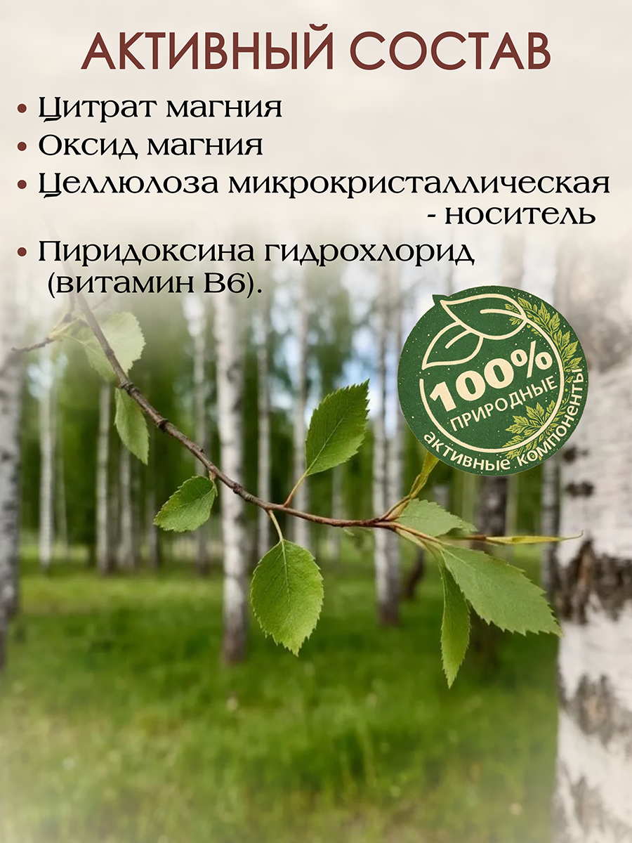 Магний + В6  для поддержки нервной системы. 120 капс