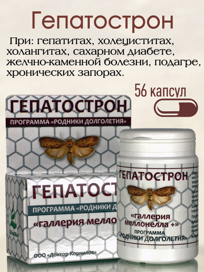 Гепатострон ( 56 капсул ) улучшает работу печени и поджелудочной железы
