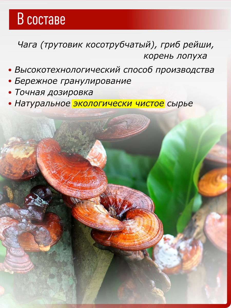 Биочага порошок WB 6 гр купить в Москве в одном из наших магазинов или с  бесплатной доставкой по Москве в интернет-магазине по низкой цене. Рецепты,  применение, отзывы.