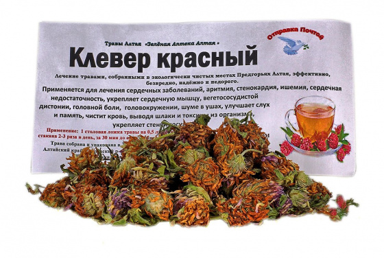 Клевер красный цветки головки