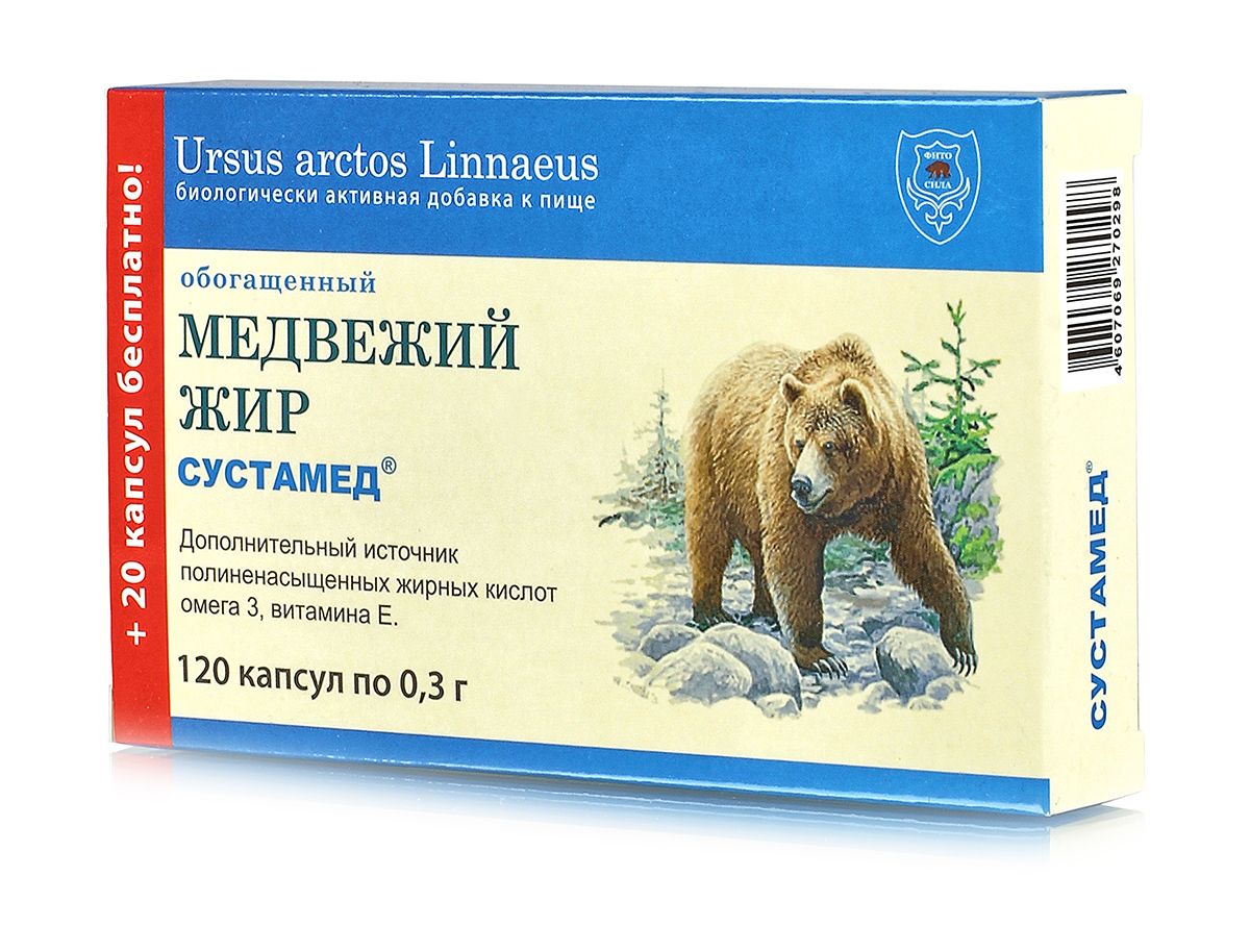 Медвежий жир обогащенный 120 капсул по 0.3 гр. Фитосила купить в Москве в  одном из наших магазинов или с бесплатной доставкой по Москве в  интернет-магазине по низкой цене. Рецепты, применение, отзывы.