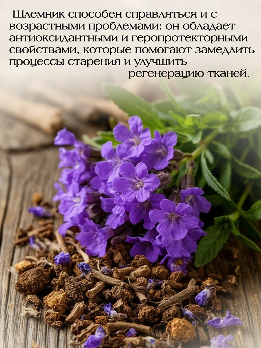 Шлемник Байкальский Экстракт ( 60 капсул )  ноотроп, успокаивающее, для сосудов