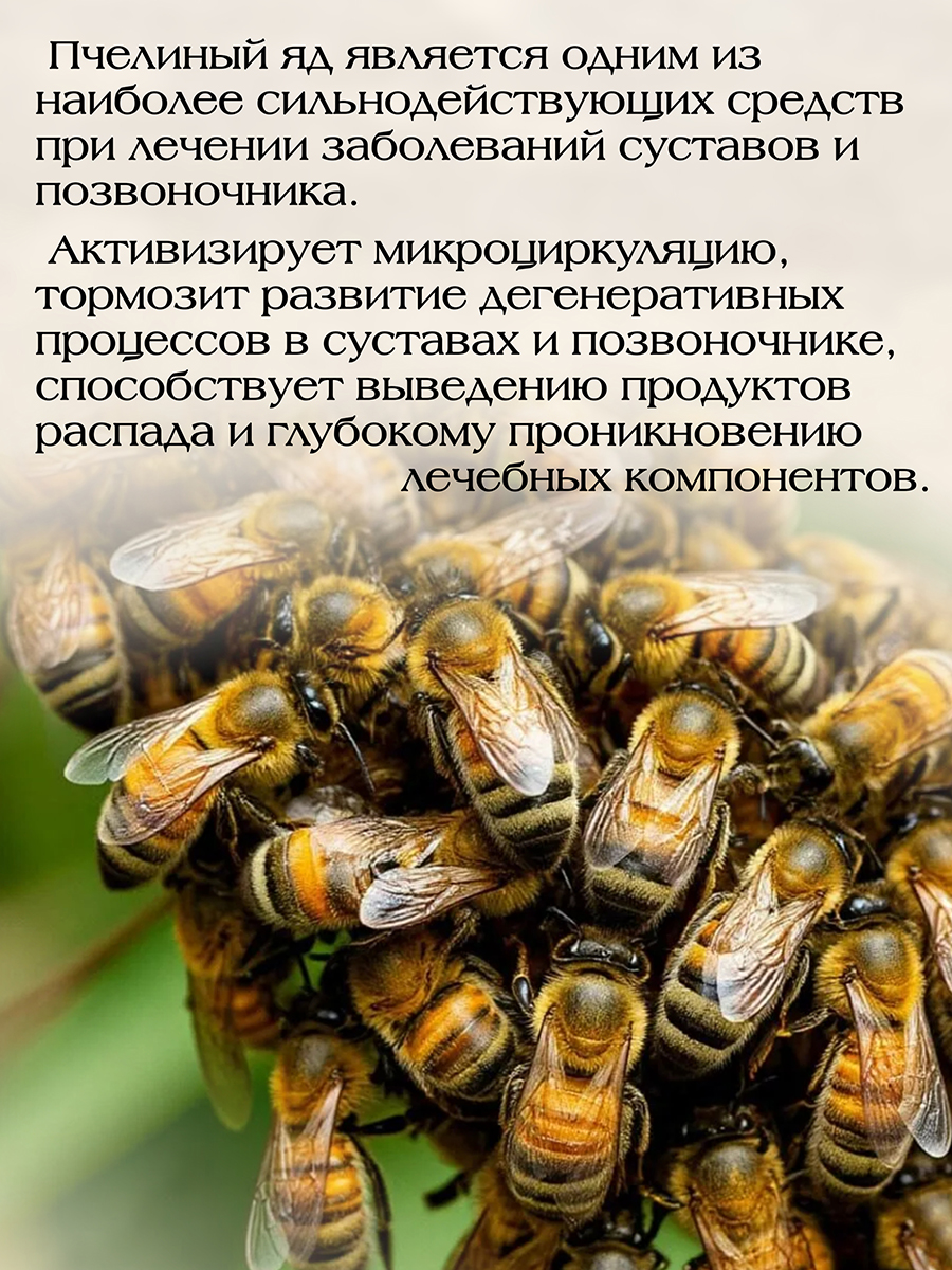 Мумие + 3 Яда 125мл. Концентрированный крем - бальзам при ревматизме, артрите, остеохондрозе, радикулите