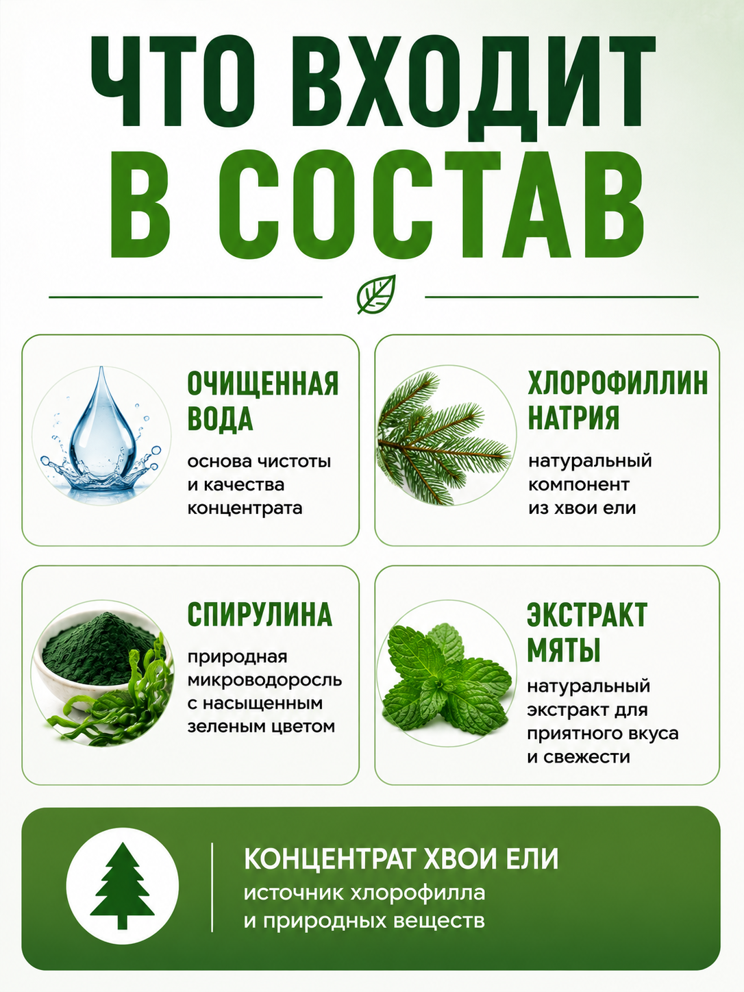 Мятный Хлорофилл хвойный жидкий со спирулиной для кожи, роста волос, детокса