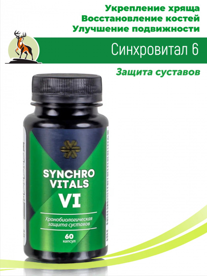 Синхровитал 6 Защита суставов / хондроитин / глюкозамин / от боли в суставах