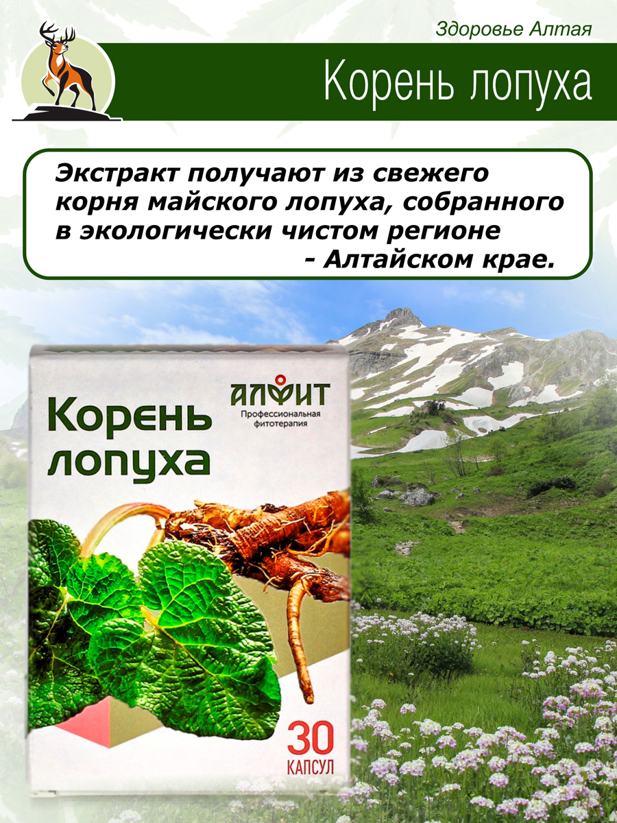 Комплект Корень лопуха по 30 капсул 2 шт купить в Москве в одном из наших  магазинов или с бесплатной доставкой по Москве в интернет-магазине по  низкой цене. Рецепты, применение, отзывы.