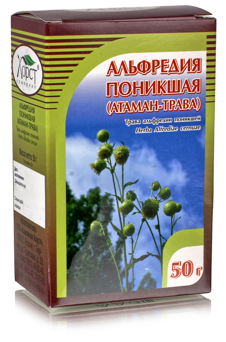 Альфредия поникшая, трава 50гр. купить в Москве в одном из наших магазинов  или с бесплатной доставкой по Москве в интернет-магазине по низкой цене.  Рецепты, применение, отзывы.