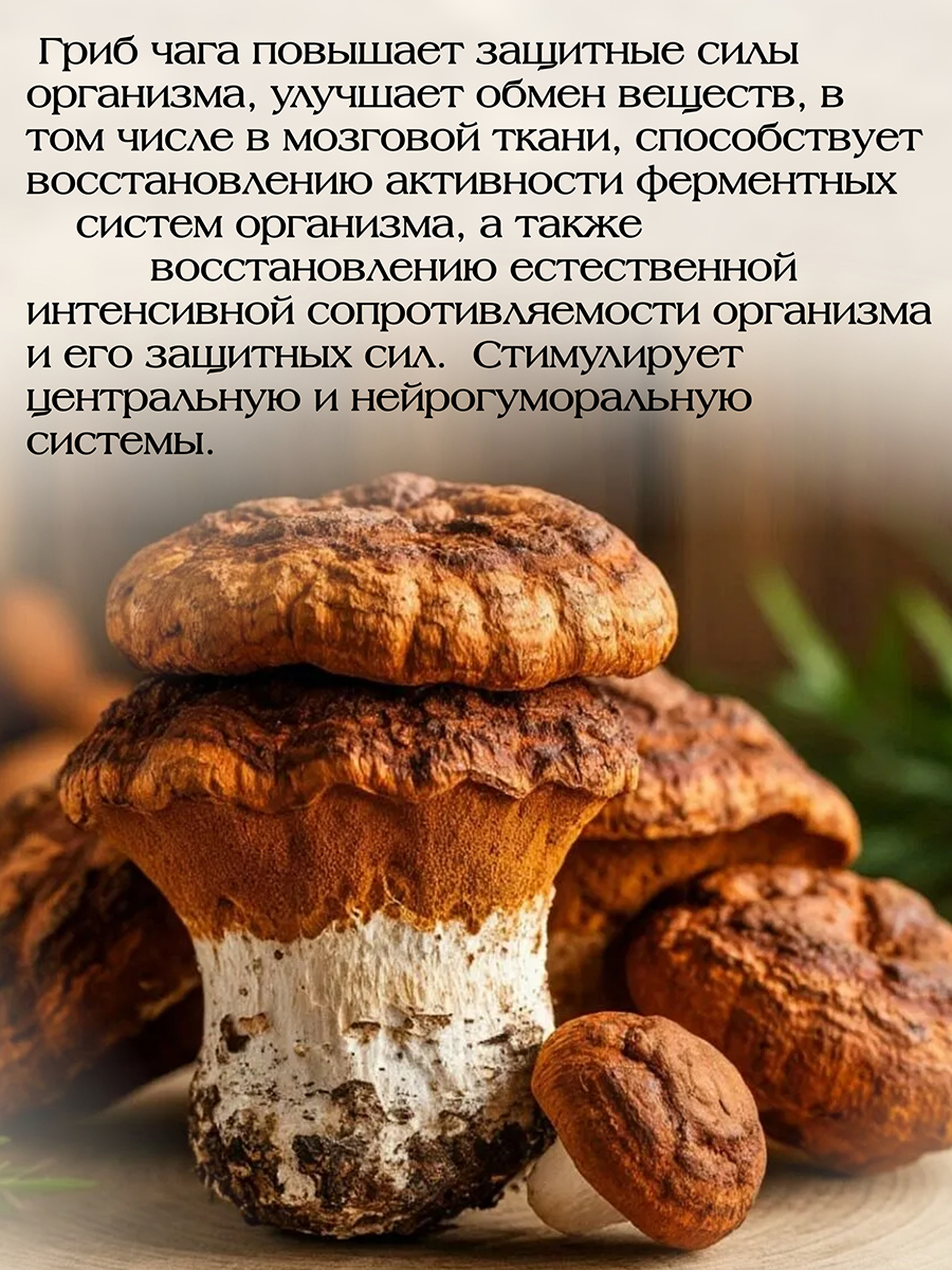 Чага - Рейши Плюс  ( 56 капсул ) обладает противоопухолевым, иммуномодулирующим и антиоксидантным действием