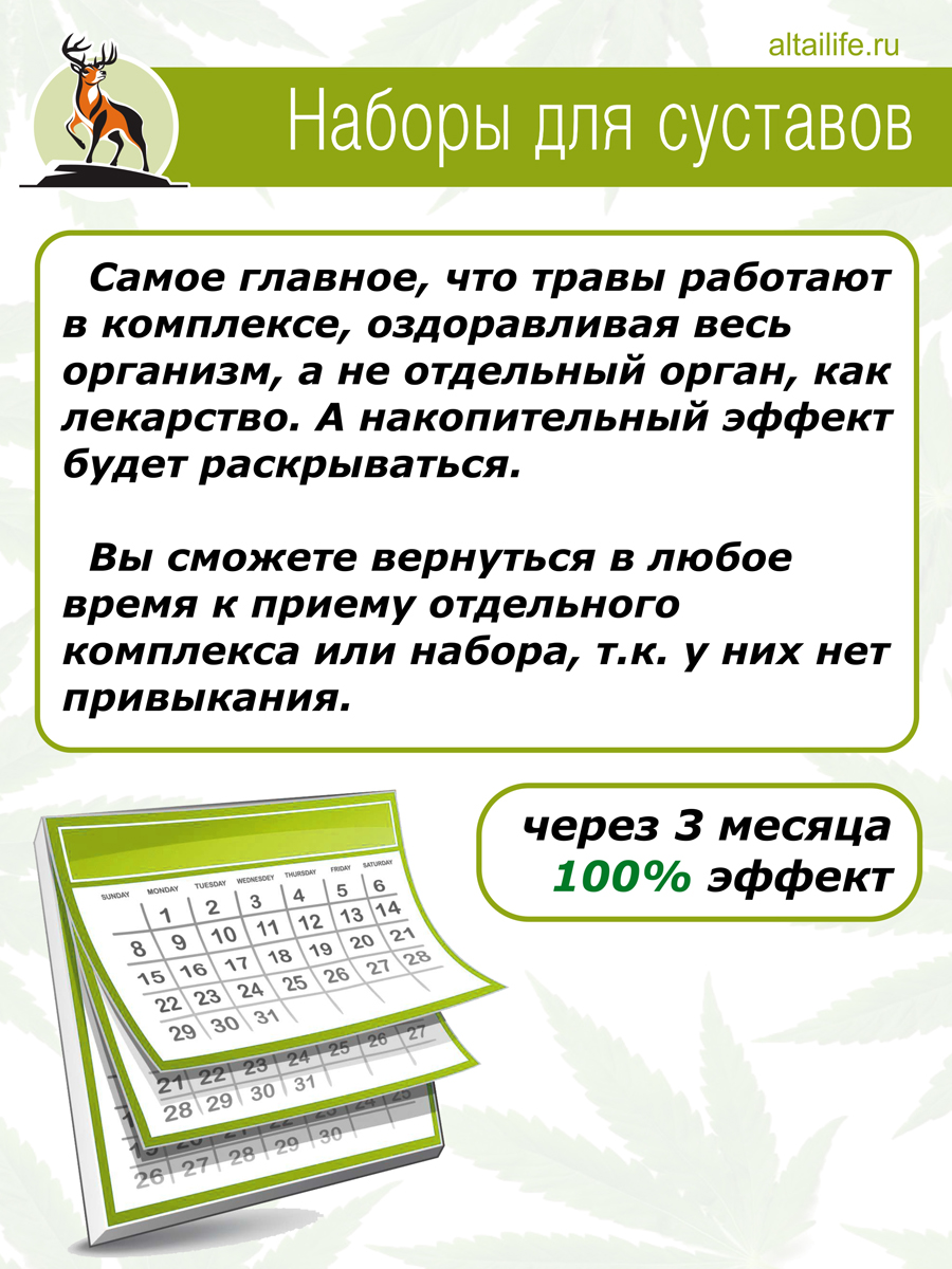 Для суставов набор №1 / Здоровье Алтая / курс при остеохондрозе, артрите,  артрозе купить в Москве в одном из наших магазинов или с бесплатной  доставкой по Москве в интернет-магазине по низкой цене.