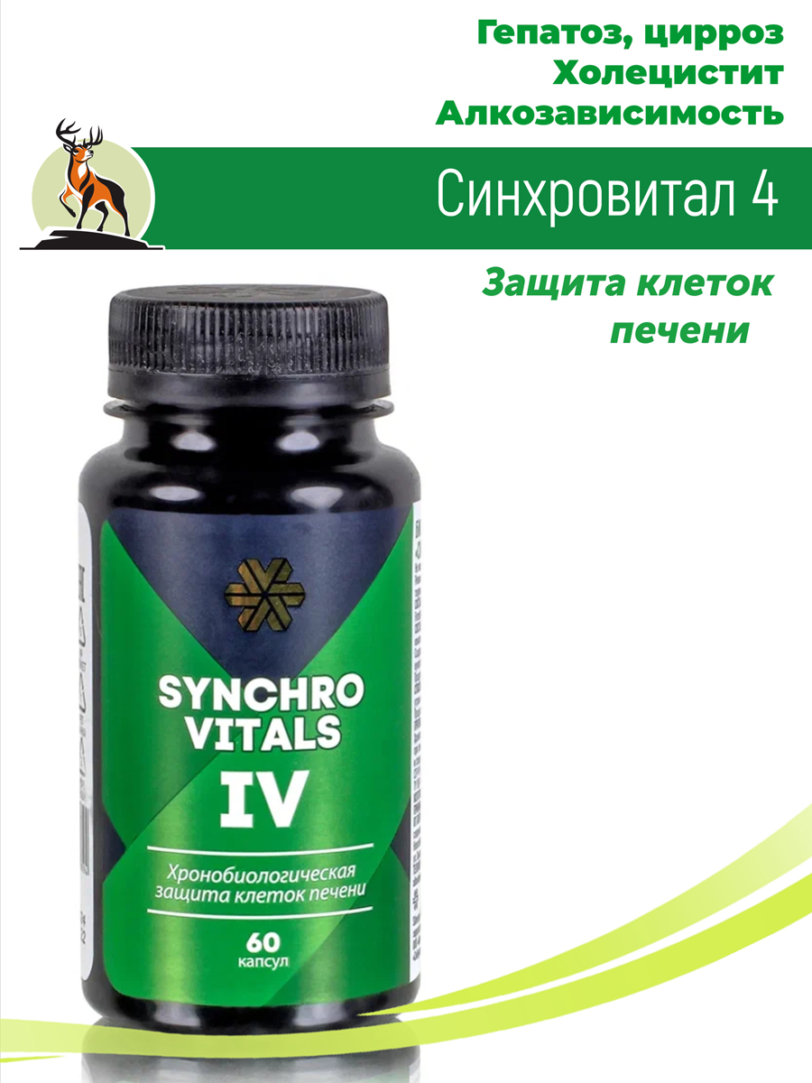 Синхровитал 4 / Защита клеток печени 60 капс / для печени и желчного купить  в Москве в одном из наших магазинов или с бесплатной доставкой по Москве в  интернет-магазине по низкой цене.