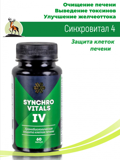 Синхровитал 4 / Защита клеток печени 60 капс / для печени и желчного