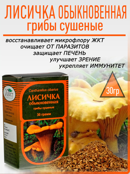 Лисичка обыкновенная, гриб 30гр.