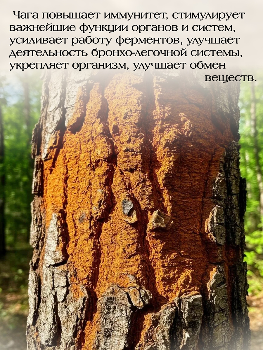 Бронхострон ( 56 капсул ) для профилактики заболеваний бронхо-легочной системы