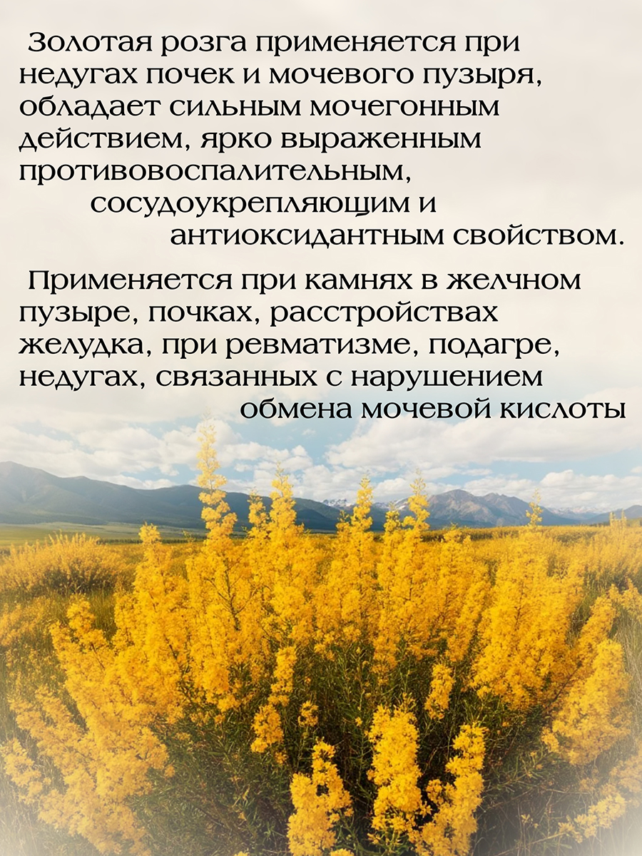  Для растворения камней в почках, мочевом и желчном пузырях (150гр )  ручной сбор от Данилы Травника