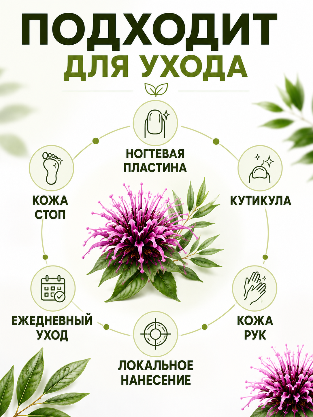 Экстракт монарды и чайного дерева -  антимикробное и противогрибковое средство 30 мл