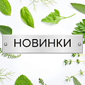 Новинки